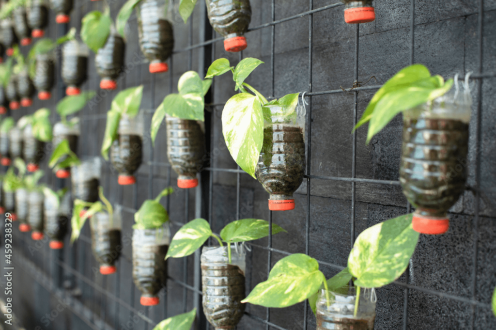 green-classroom-vertical-planters
