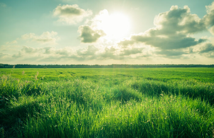 land restoration