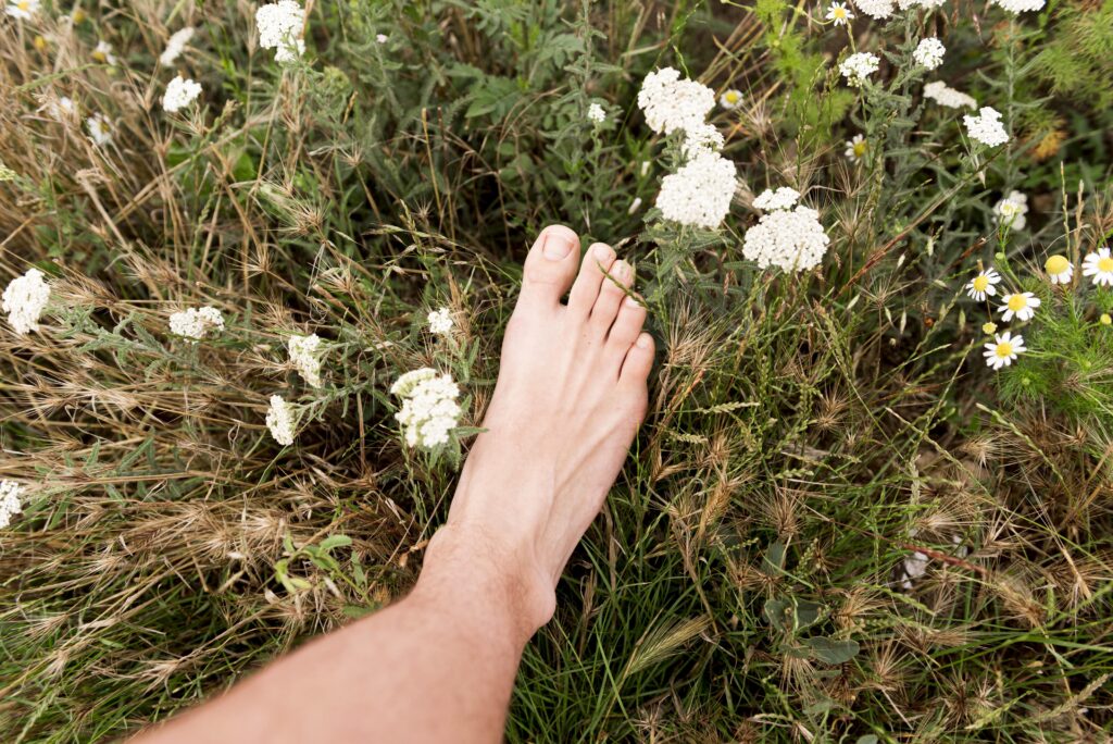 grounding in nature